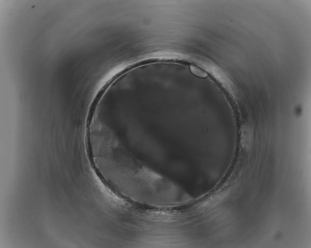 X0000090711229200707271125