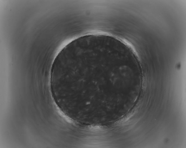 X0000090711231200707271125