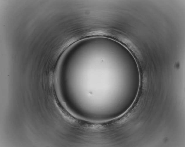 X0000090711233200707271125