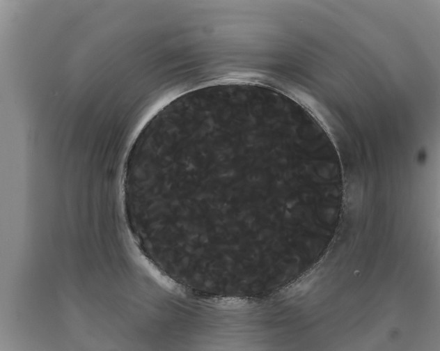 X0000090711235200707271125