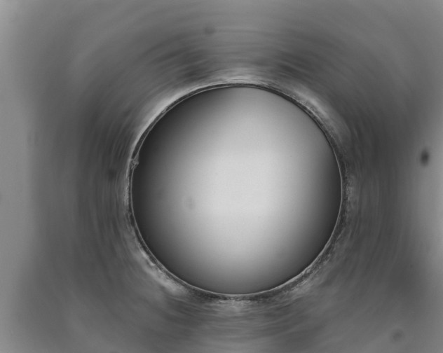 X0000090711236200707271125