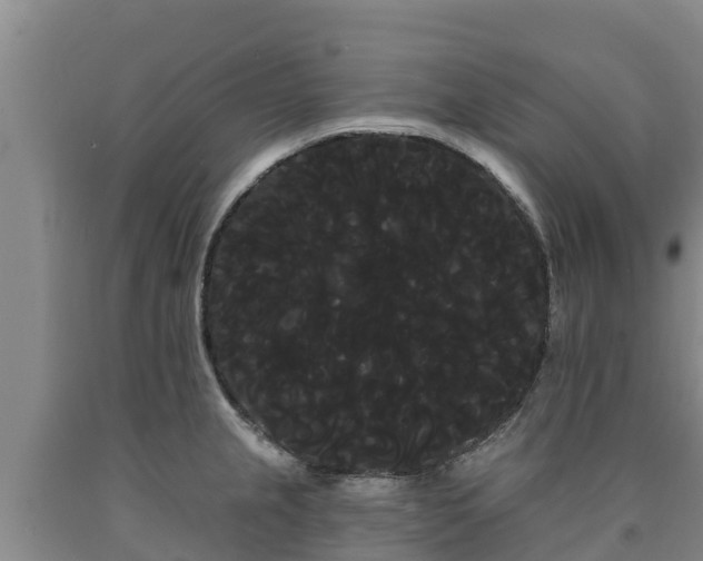 X0000090711237200707271125