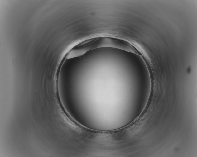 X0000090711238200707271125