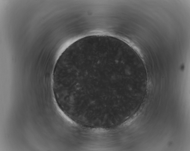 X0000090711239200707271125