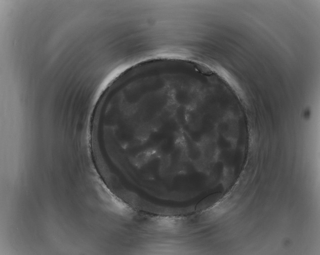 X0000090711240200707271125