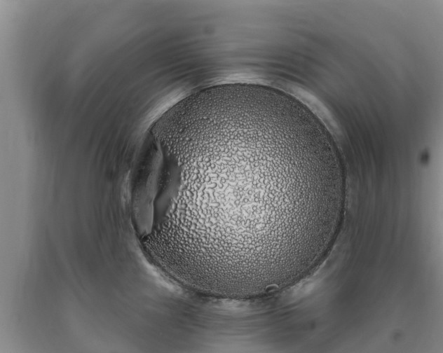 X0000090711241200707271125