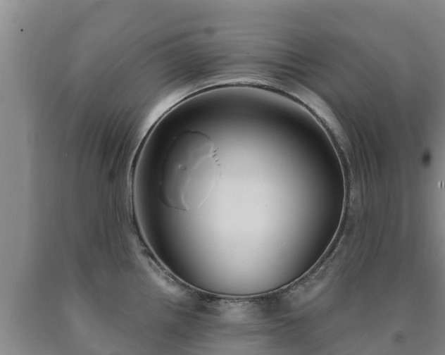 X0000090711242200707271125