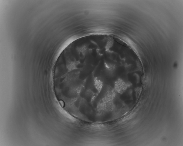 X0000090711243200707271125