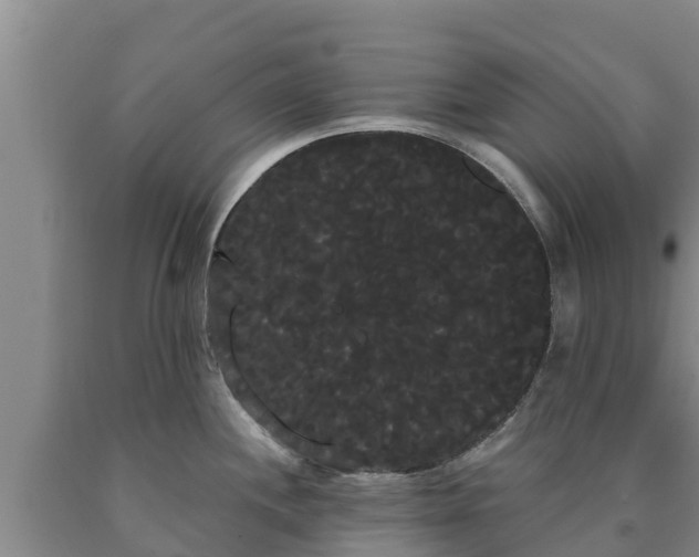 X0000090711244200707271125