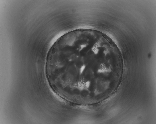 X0000090711245200707271125