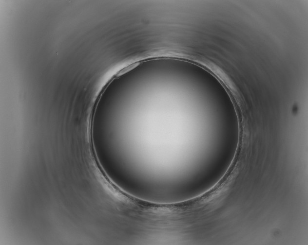 X0000090711246200707271125