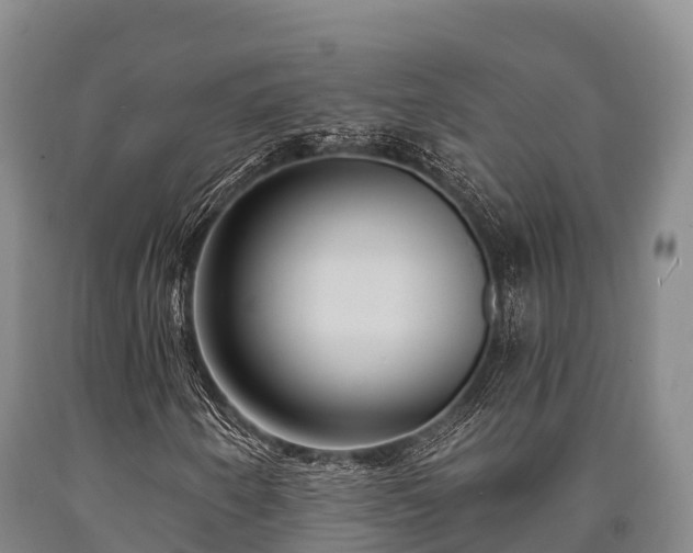 X0000090711250200707271124