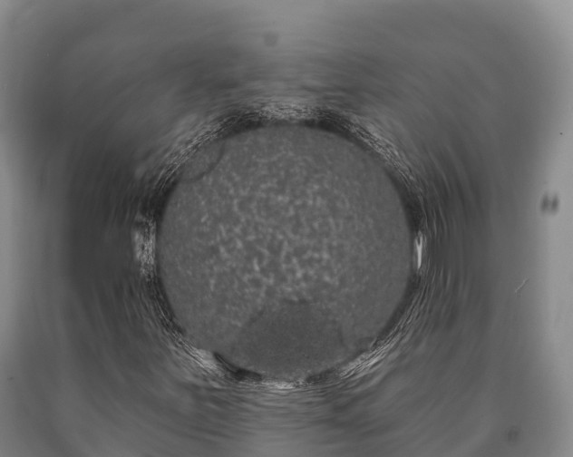 X0000090711251200707271124