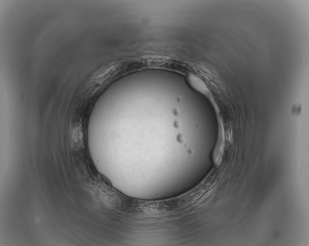 X0000090711252200707271124