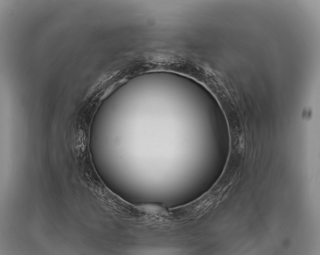 X0000090711253200707271124