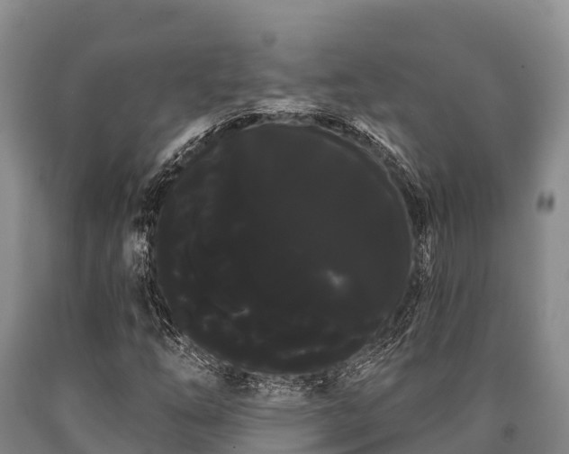 X0000090711254200707271124