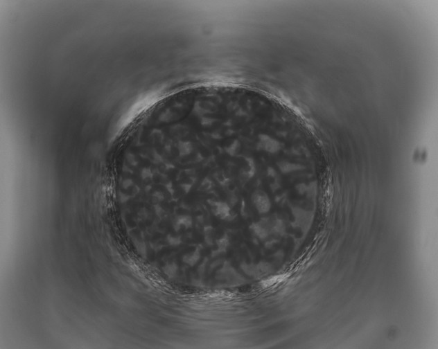 X0000090711255200707271124