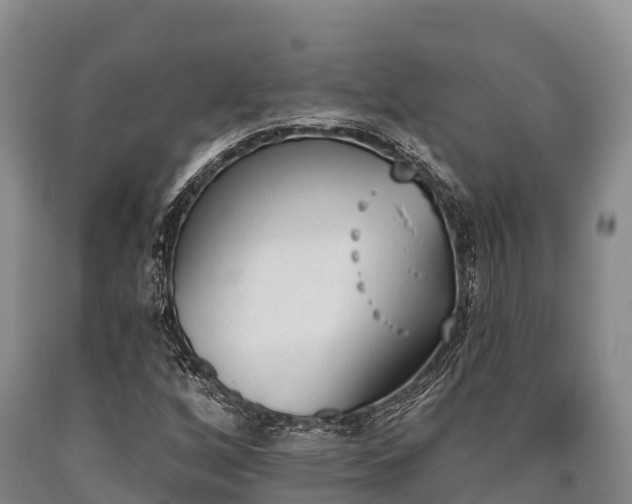 X0000090711256200707271124