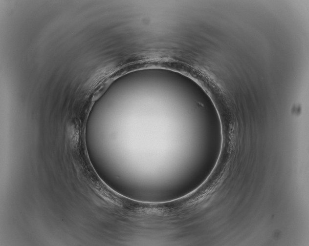 X0000090711257200707271124