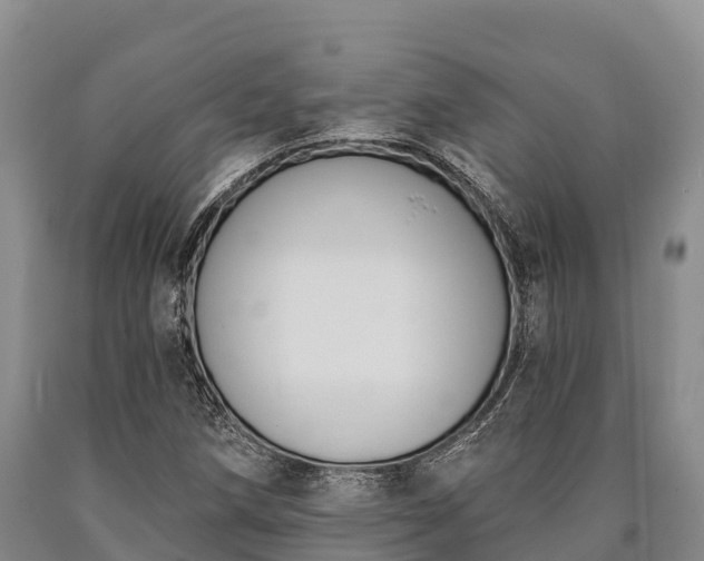 X0000090711258200707271124