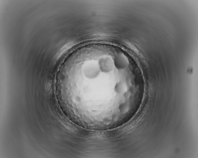 X0000090711259200707271124