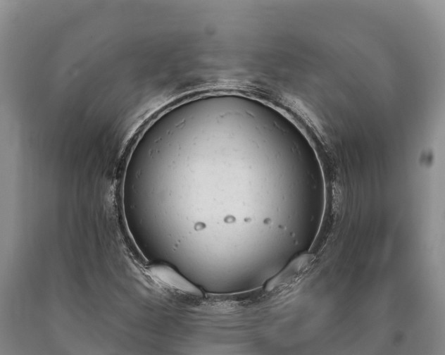 X0000090711260200707271124