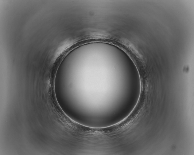 X0000090711261200707271124