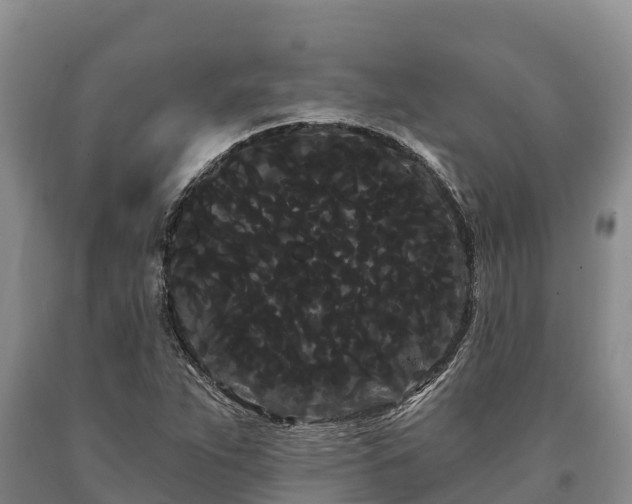 X0000090711263200707271124