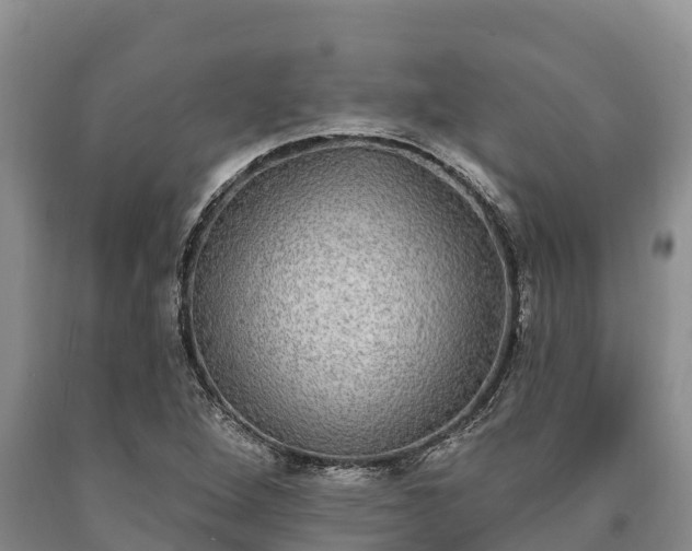 X0000090711264200707271124