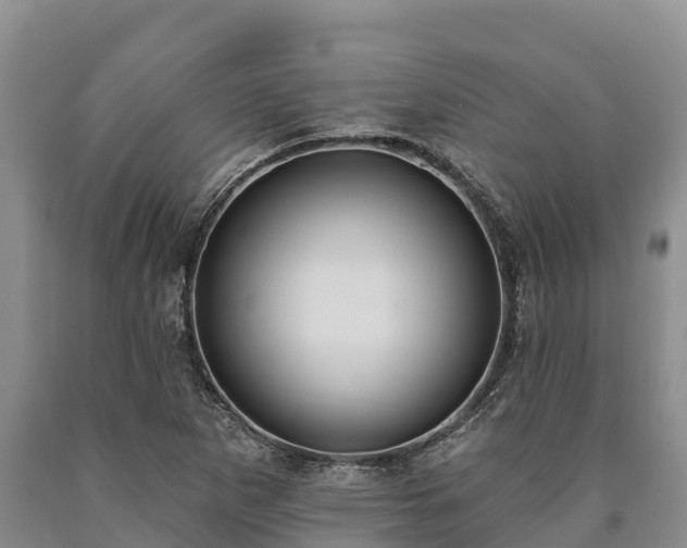 X0000090711265200707271124