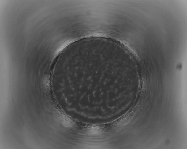 X0000090711266200707271124