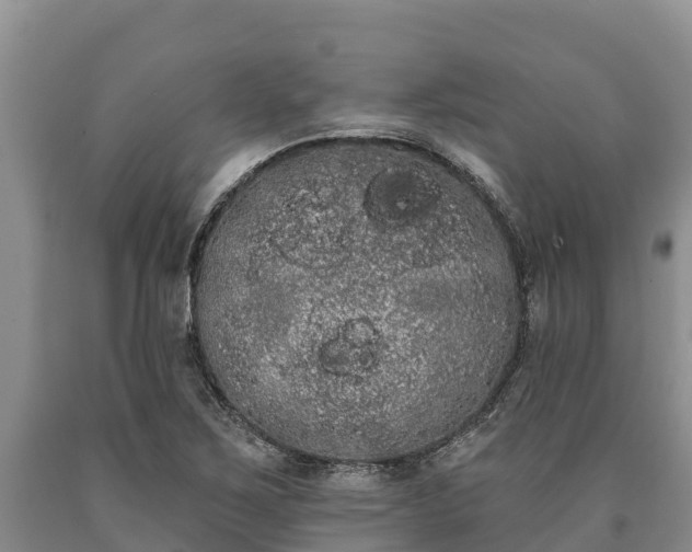 X0000090711267200707271124