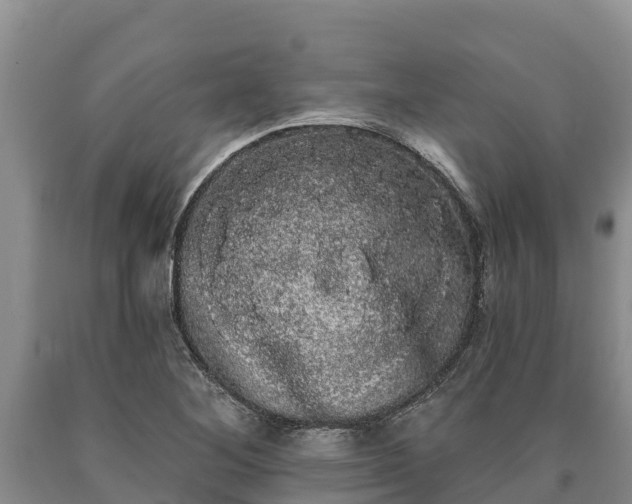 X0000090711268200707271124