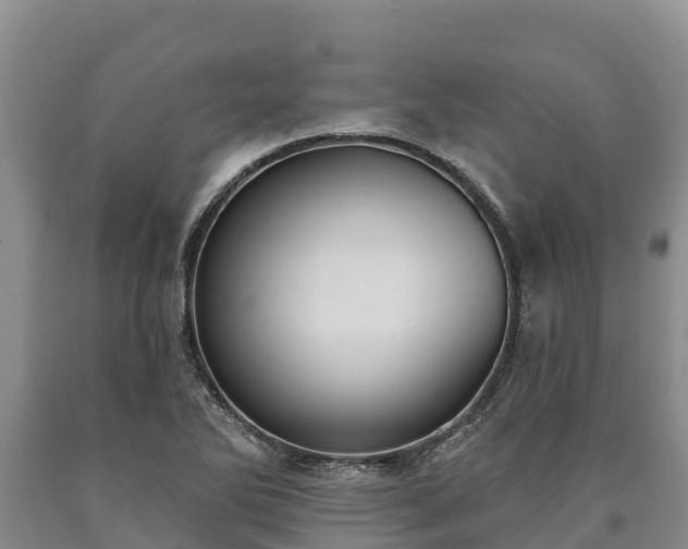 X0000090711270200707271124