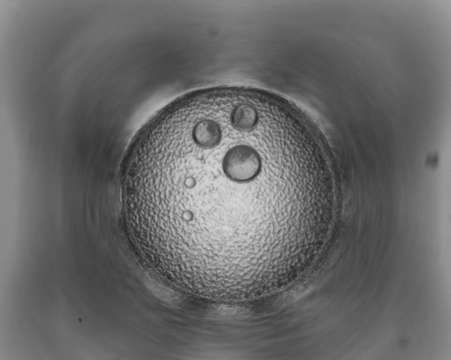 X0000090711271200707271124