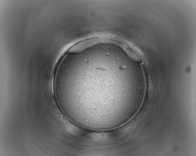 X0000090711272200707271124