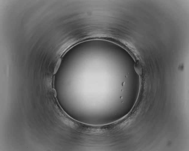 X0000090711273200707271124