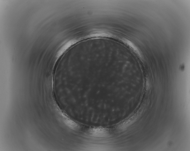 X0000090711274200707271124