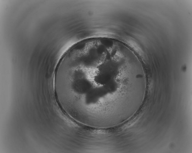 X0000090711275200707271124