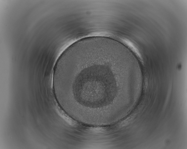 X0000090711276200707271124