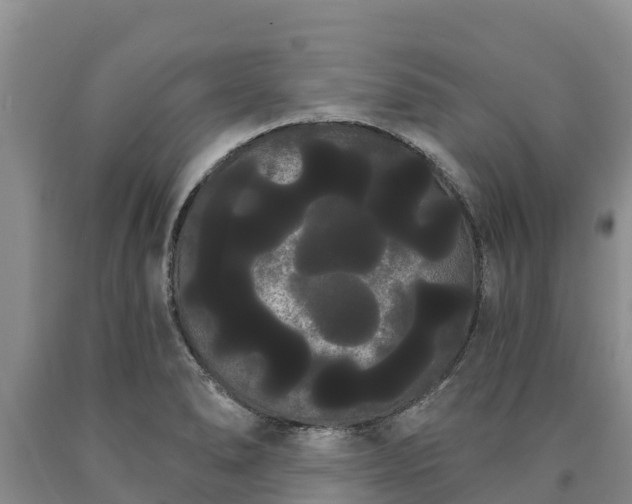 X0000090711278200707271124