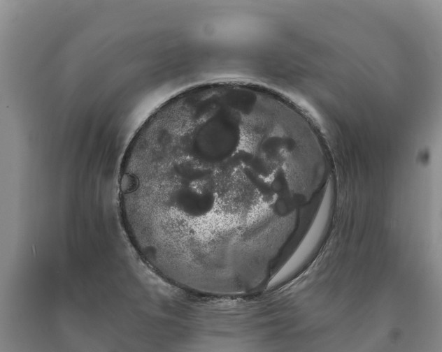 X0000090711279200707271124