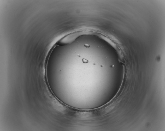 X0000090711280200707271124