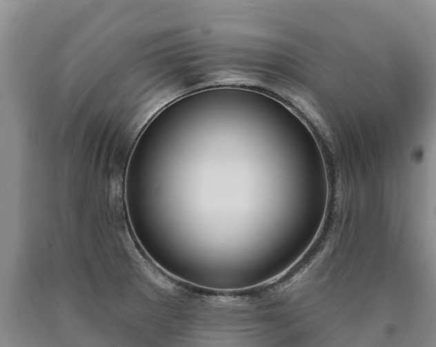 X0000090711281200707271124