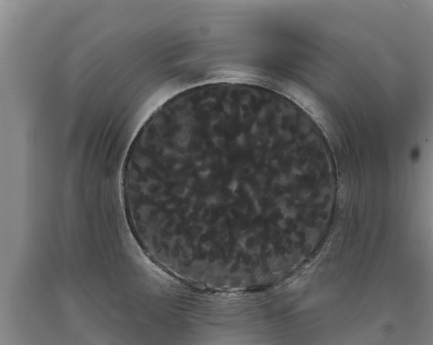 X0000090711283200707271124