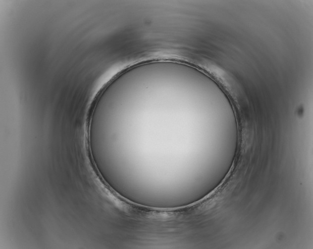 X0000090711286200707271124