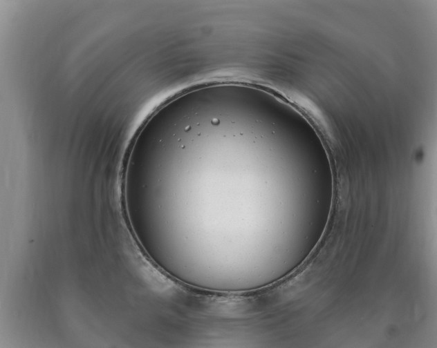 X0000090711288200707271124