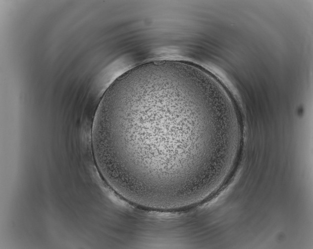 X0000090711289200707271124