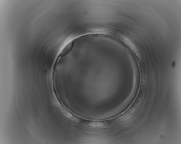 X0000090711291200707271124