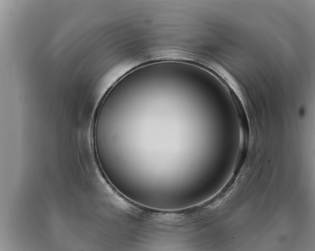 X0000090711293200707271123